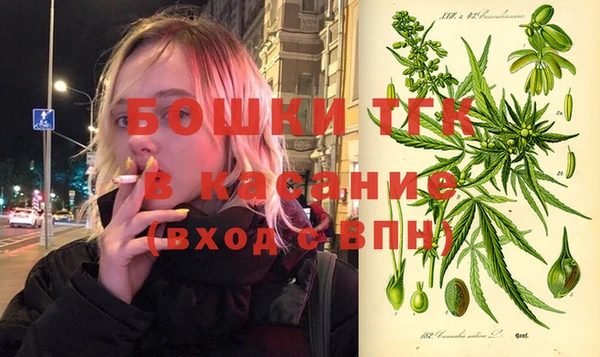 МДПВ Тайга
