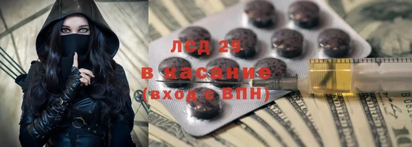 трава Тавда