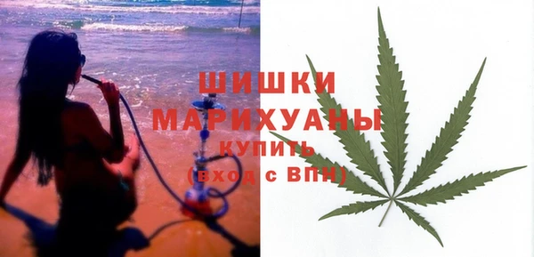 МДПВ Тайга