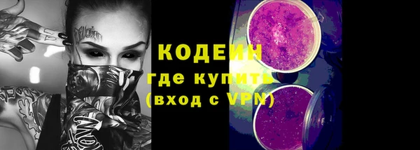 МДПВ Тайга