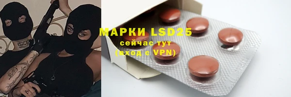 трава Тавда