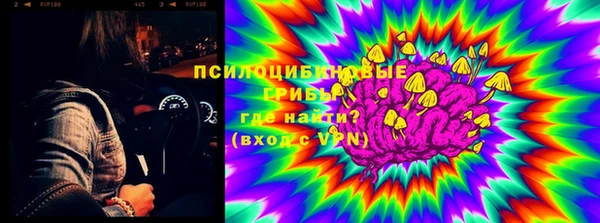 трава Тавда