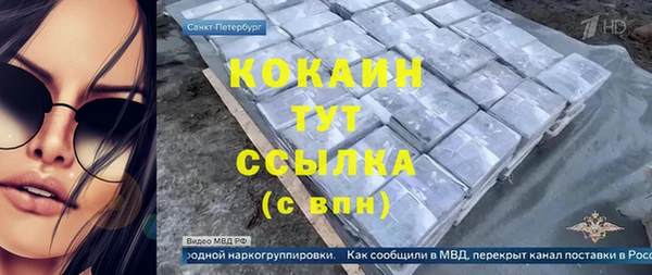 трава Тавда