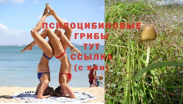 МДПВ Тайга