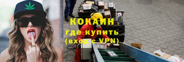 МДПВ Тайга
