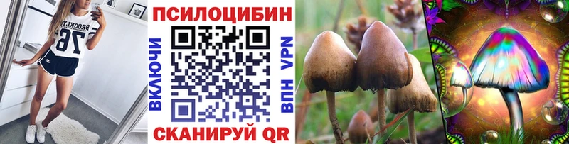 Псилоцибиновые грибы прущие грибы Томмот